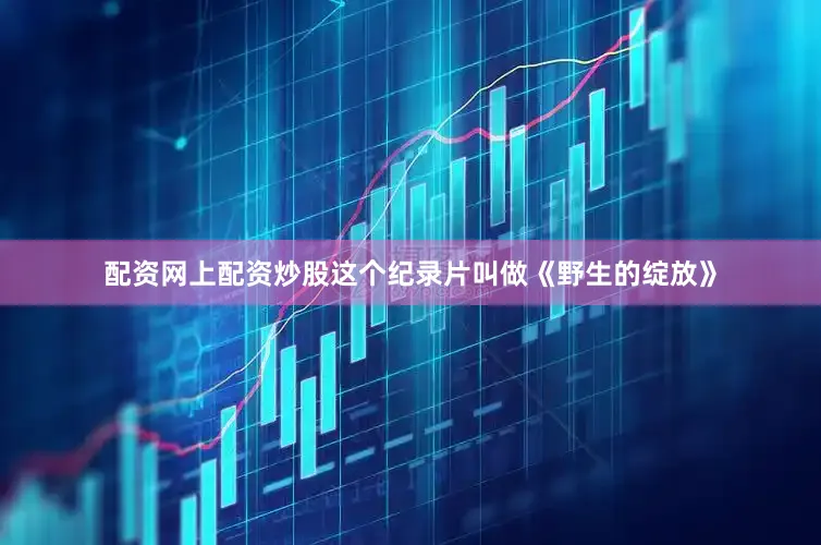 配资网上配资炒股这个纪录片叫做《野生的绽放》